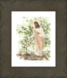 Watching Over His Vineyard