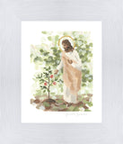 Watching Over His Vineyard
