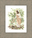 Watching Over His Vineyard