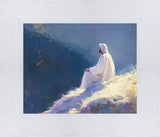 Contemplation