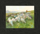 In The Care of The Shepherd