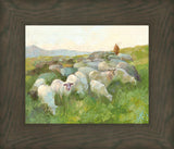 In The Care of The Shepherd