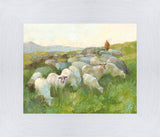 In The Care of The Shepherd