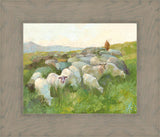 In The Care of The Shepherd