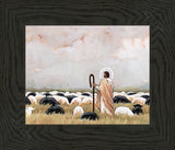 Our Steadfast Shepherd