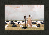 Our Steadfast Shepherd