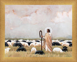 Our Steadfast Shepherd