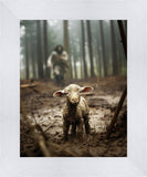 The Good Shepherd is on the Way