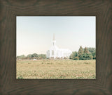 Burley Idaho Immaculate Embrace Blue