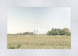 Burley Idaho Immaculate Embrace Blue