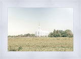 Burley Idaho Immaculate Embrace Blue