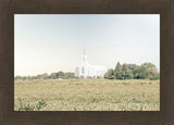 Burley Idaho Immaculate Embrace Blue