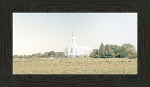 Burley Idaho Immaculate Embrace Blue