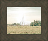 Burley Idaho Immaculate Embrace Pastel