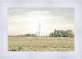 Burley Idaho Immaculate Embrace Pastel
