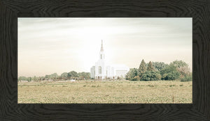 Burley Idaho Immaculate Embrace Pastel