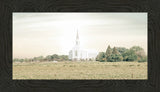 Burley Idaho Immaculate Embrace Pastel