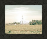 Burley Idaho Immaculate Embrace Pastel