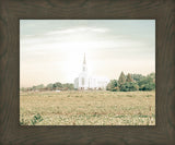 Burley Idaho Immaculate Embrace Pastel