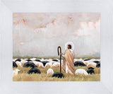 Our Steadfast Shepherd