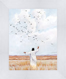 Consider The Birds in The Sky