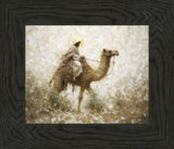 Through The Eye of a Needle