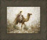 Through The Eye of a Needle