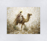 Through The Eye of a Needle