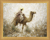 Through The Eye of a Needle