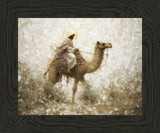 Through The Eye of a Needle