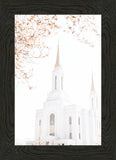 Lindon Utah Celestial View