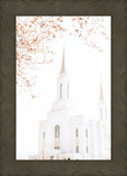 Lindon Utah Celestial View