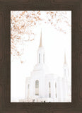 Lindon Utah Celestial View