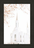 Lindon Utah Celestial View