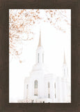 Lindon Utah Celestial View