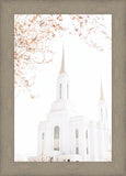 Lindon Utah Celestial View