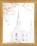 Lindon Utah Celestial View