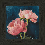 Peony Cheer