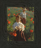 Poppies