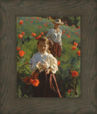 Poppies