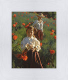 Poppies