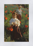 Poppies