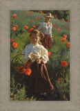 Poppies