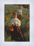 Poppies