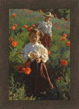 Poppies