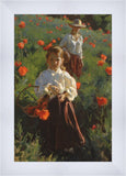 Poppies