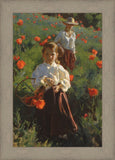 Poppies