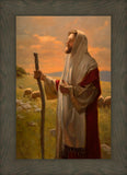 The Good Shepherd