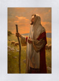 The Good Shepherd