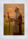 The Good Shepherd